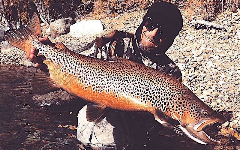 fly fishing trips-limay-river-patagonia-bariloche-guides-adventure-trout-brown-rainbow-hatch-lakes-rivers-fontinalis