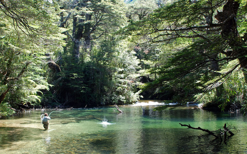 riversmanso1-fly-fishing-patagonia-bariloche-lakes-rivers-hatch-trout-brown-rainbow-adventure-rods-mayfly-stonefly-guides-camps-trips-fontilalis-outfitters-catch-realese